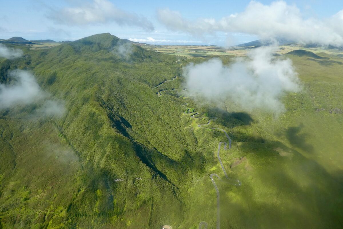 Gleitschirmreise La Reunion Regenwald