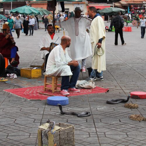 Schlangen auf Markt in Marrakesch während Airzone Gleitschirmreise